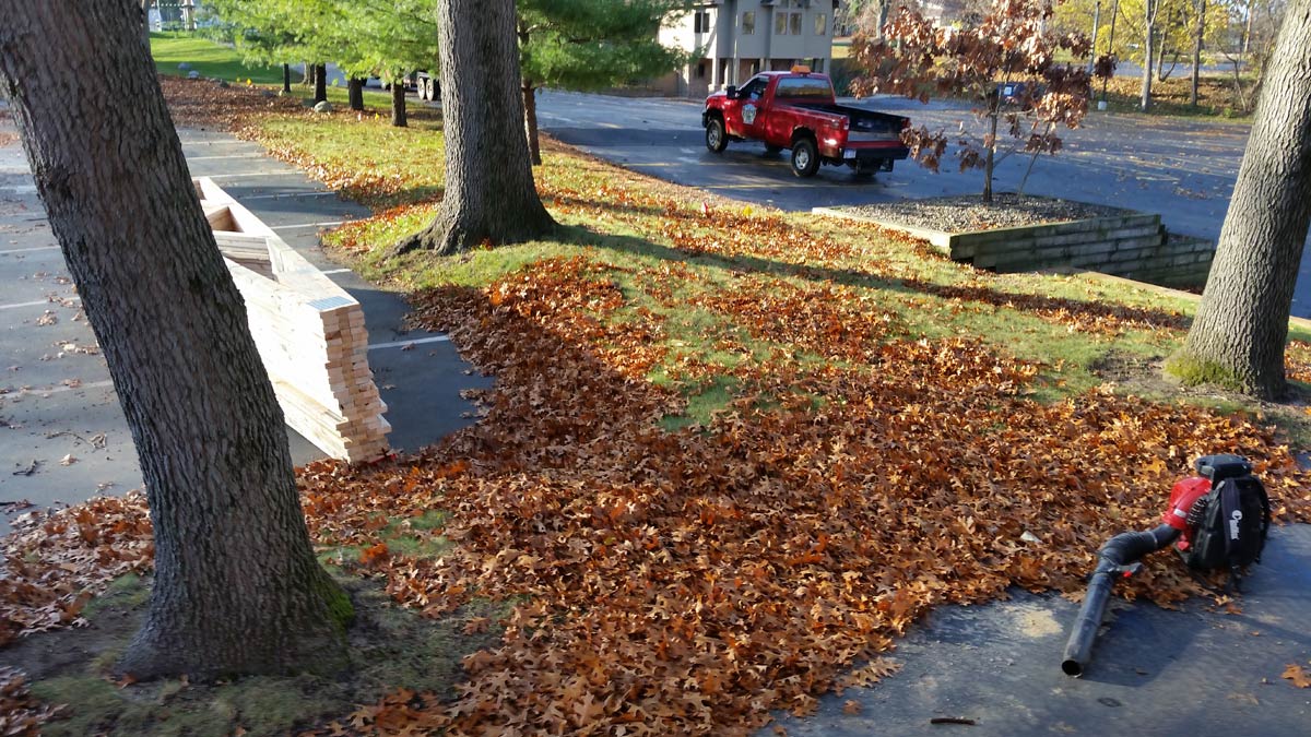fall cleanup project