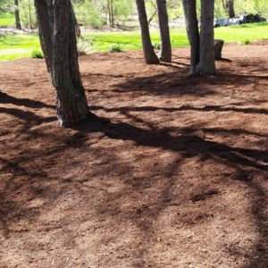 Softscape-Mulch